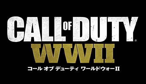 Activision Call of Duty WWII COD SONY PS4 PLAYSTATION 4 JAPANESE Version [video game]