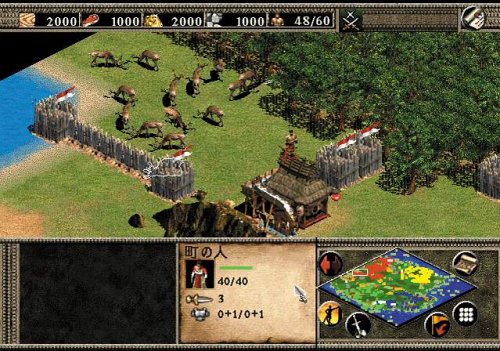 Age Of Empires II: The Age Of Kings [Importación alemana]