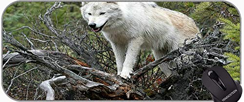 Almohadilla de Escritorio Almohadilla de Teclado, triángulo Wolf Diseño Antideslizante Base de Goma Mousepad