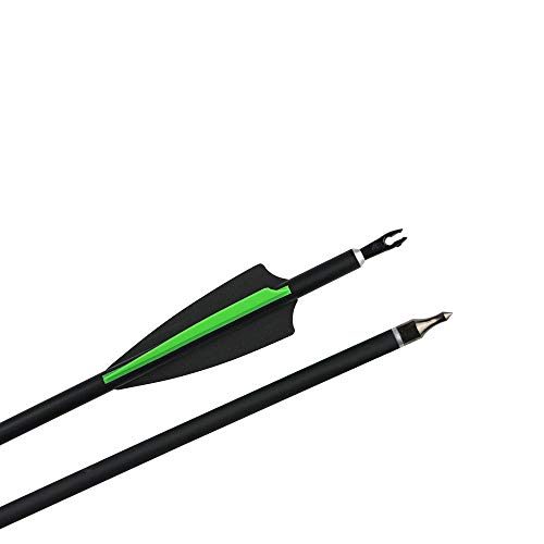 AMEYXGS 12 Piezas Flechas de Fibra de Carbono 30 Pulgadas Caza Objetivo de Práctica Fiechas Spine 500 para Arco Recurvo Arco Compuesto Arco Largo (Verde+Negro)