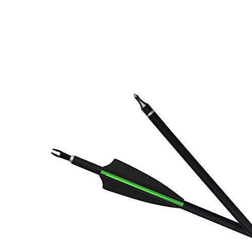 AMEYXGS 12 Piezas Flechas de Fibra de Carbono 30 Pulgadas Caza Objetivo de Práctica Fiechas Spine 500 para Arco Recurvo Arco Compuesto Arco Largo (Verde+Negro)