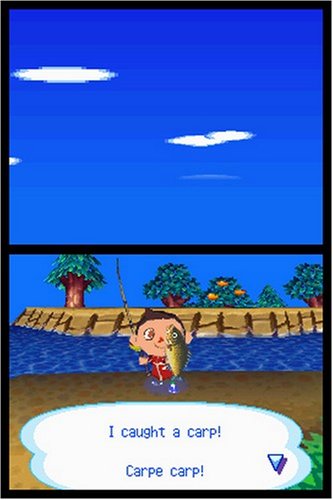 Animal Crossing: Wild World (Nintendo DS) [Importación inglesa]
