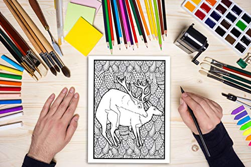 Animales follando: Un libro de colorear para adultos: 31 divertidas páginas para colorear con elefantes, perros, gatos, monos, llamas, jirafas y ... para la relajación y el alivio del estrés