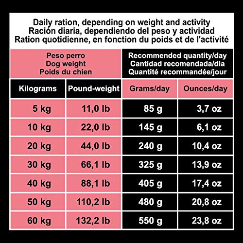 Arquivet Original Adult - Pienso para Perros Adultos - Salmón y arroz - Comida para Perros - Alimento seco para Perros - Alimentación Canina - Pienso Saludable - 12 kg