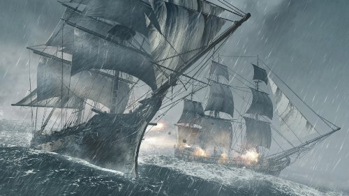 Assassin's Creed IV: Black Flag - Édition Collector [Importación Francesa]