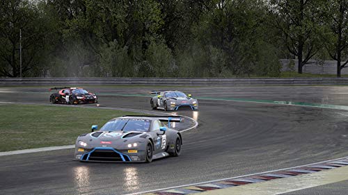 Assetto Corsa Competizione - PlayStation 4 [Importación alemana]