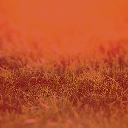 Background for Steam Baths