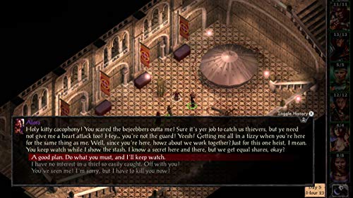 Baldur's Gate Enhanced Edition - Nintendo Switch [Importación inglesa]