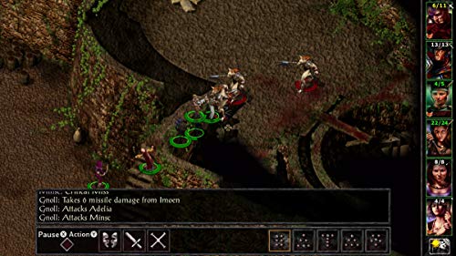 Baldur's Gate Enhanced Edition - PlayStation 4 [Importación inglesa]