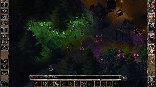 Baldur's Gate II: Enhanced Edition [Importación Alemana]