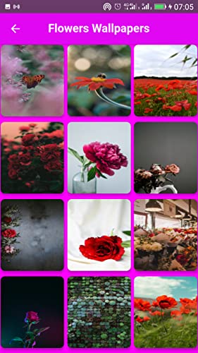 Best Wallpapers and Backgrounds HD/4K