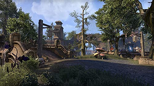 Bethesda The Elder Scrolls Online: Morrowind, Xbox One Básico Xbox One Francés vídeo - Juego (Xbox One, Xbox One, MMORPG, Modo multijugador, M (Maduro))