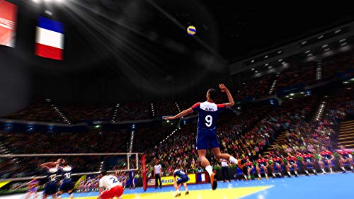 Bigben Interactive Spike Volleyball vídeo - Juego (PlayStation 4, Deportes, Modo multijugador, E (para todos), Soporte físico)