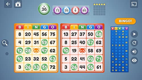 Bingo Set