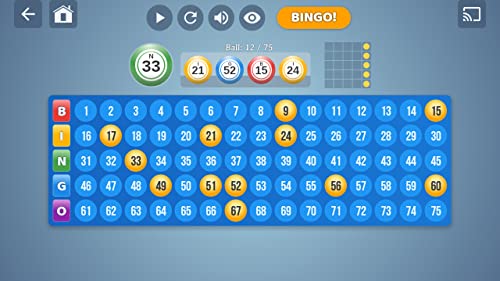 Bingo Set
