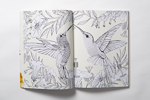 Birdtopia: Coloring Book
