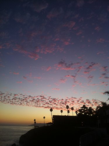 California Blooms, Blossoms, and Harvest Delights: Golden Vignettes From Big Sur, Pacific Coast Highway, California Scenic Highway 1 to Yosemite and Highway ... Poetry Like Air and Water) (English Edition)