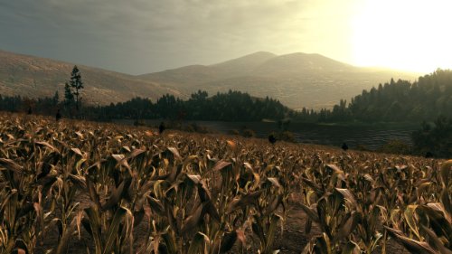 Call of Juarez 2 - collection essentielles [Importación francesa]