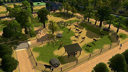 Cities Skylines Parklife Edition - PlayStation 4 [Importación italiana]