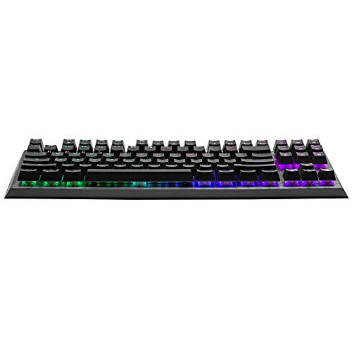 Cooler Master CK530 V2 Teclado Mecánico Tenkeyless para Gaming, Retroiluminación RGB por Tecla, Controles On-the-Fly, Placa Superior de Aluminio y Reposamuñecas Incluida, Layout ES / Switches Rojos