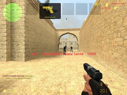 Counter Strike : Source [Importación francesa]