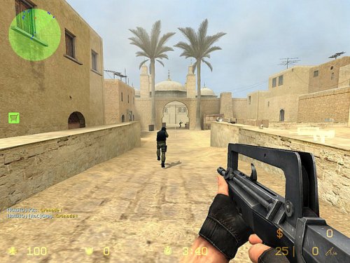 Counter Strike : Source [Importación francesa]