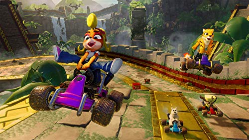 Crash Team Racing Nitro Fueled + Spyro Reignited Trilogy bundle (Edición Exclusiva Amazon)