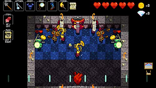 Crypt of The Necrodancer Collector´S Edition - Nintendo Switch - Collector's Limited - Nintendo Switch [Importación italiana]