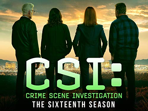 CSI: Crime Scene Investigation - Season 16