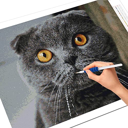 Cuadro de diamante cuadrado completo gato 5D DIY bordado de diamantes venta animales Kit de punto de cruz decoración de pared arte A15 50x70cm