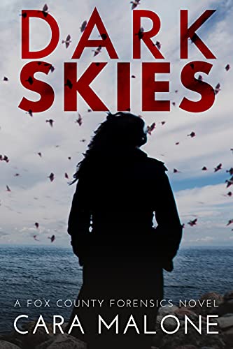 Dark Skies: A Fox County Forensics Lesbian Romantic Suspense (English Edition)