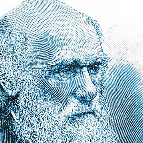 Dawn of Men and Club Culture