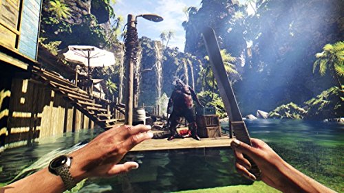 Dead Island - Definitive Collection [Importación Francesa]