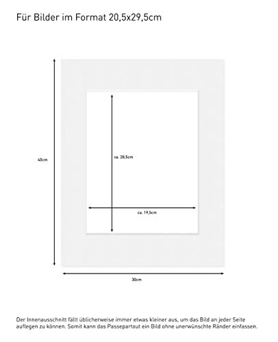 Deha passepartout 30x40 cm para fotografías en Formato 20,5x29,5 cm (DIN A4), Blanco Brillante