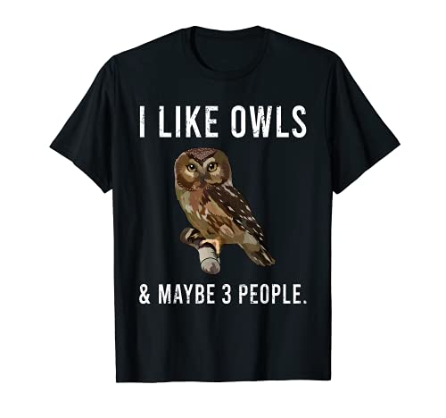 Divertido Me gusta Northern Saw-whet Owls Y Tal vez 3 Personas Camiseta