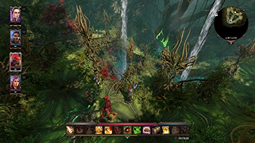 Divinity: Original Sin 2 - Definitive Edition