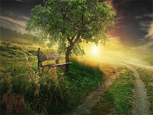 DIY 5D Diamond Painting Por Número Kit Full Drill Crystal Rhinestone Lienzo De Punto De Cruz Bordado Manualidades Pared Decoración Hogar Regalo Wild Scenery 50x70cm