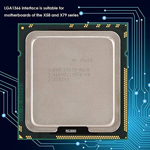 Diyeeni Procesador Xeon X5650 (Socket: LGA 1366, 6 núcleos, Tipo de Memoria: DDR3 800/1066/1333, 12 MB de caché) CPU para X58, Placa Base de la Serie X79, Proceso de fabricación de 12 NM