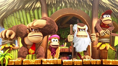 Donkey Kong Country Tropical Freeze - Nintendo Switch [Importación alemana]
