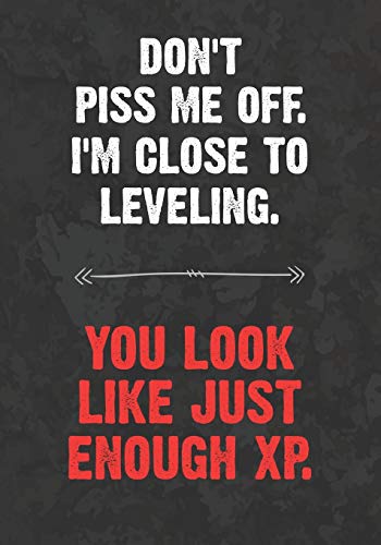 Don't Piss Me Off. I'm Close To Leveling. You Look Like Just Enough XP.: College Ruled Role Playing Gamer Paper: Funny RPG Journal