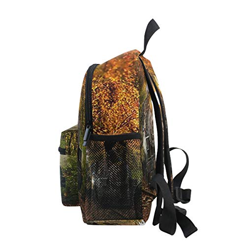 DOSHINE Mochila para niños pequeños, Essex Steam Train Autumn Pre-School Book Bag para niños y niñas