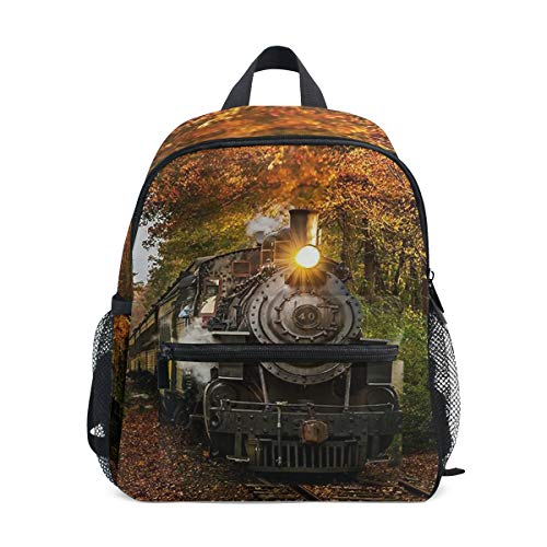 DOSHINE Mochila para niños pequeños, Essex Steam Train Autumn Pre-School Book Bag para niños y niñas