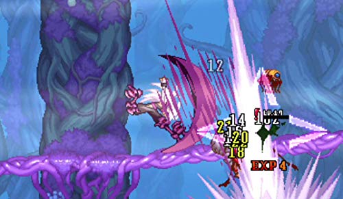 Dragon Marked for Death for Nintendo Switch