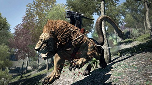 Dragon's Dogma Dark Arisen ( Japanese IP only ) SONY PS4 PLAYSTATION 4 JAPANESE [video game]
