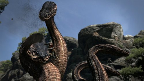Dragon's Dogma [Importación inglesa]