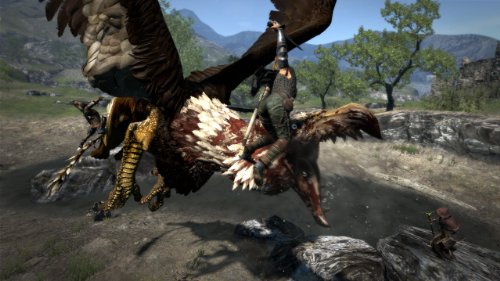 Dragon's Dogma [Importación inglesa]