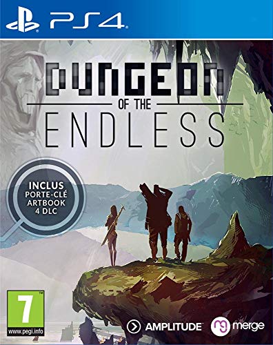 Dungeon of the Endless [Importación francesa]