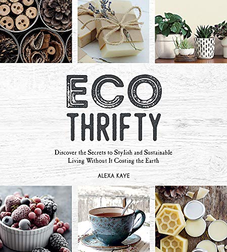 Eco-Thrifty: Discover the Secrets to Stylish and Sustainable Living Without it Costing the Earth, Including Upcycling, Recycling, Budget-Friendly Ideas and More