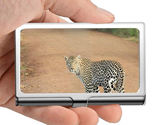 El titular de la tarjeta de presentación, el estuche para tarjetas de visita de leopard safari wildcat, mantiene limpias sus tarjetas de presentación