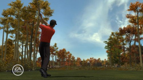 Electronic Arts Tiger Woods PGA Tour 08 Xbox 360™ - Juego (DEU)